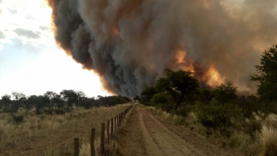 Se quemaron 4.000 hectáreas al límite con San Luis