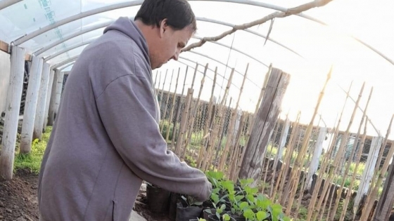 Un círculo virtuoso: el Taller Protegido realizó su primera venta de plantines
