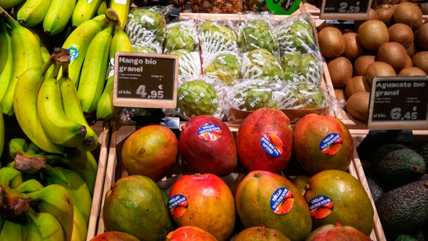 Agromarketing: Un proyecto nacido del campo ante la importancia del marketing agrícola para el sector agroalimentario en España