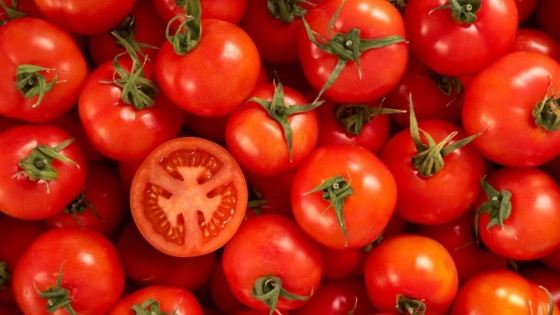 Con una gran convocatoria a nivel mundial, finalizó el 16° Simposio de la ISHS sobre el tomate para industria