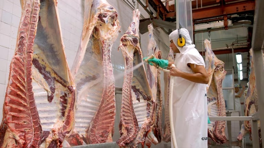 Proyectan un crecimiento récord del comercio global de carne en 2024
