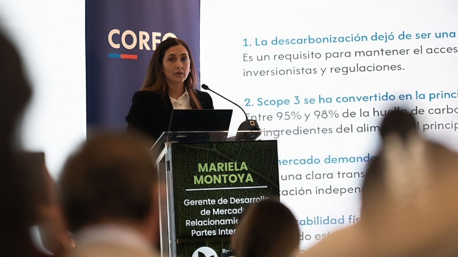 Argentina puede bajar la huella del salmón con soja certificada