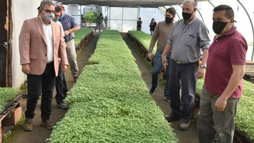 Jalil y Sarquis visitaron el vivero del Campo Demostrativo "La Viñita"