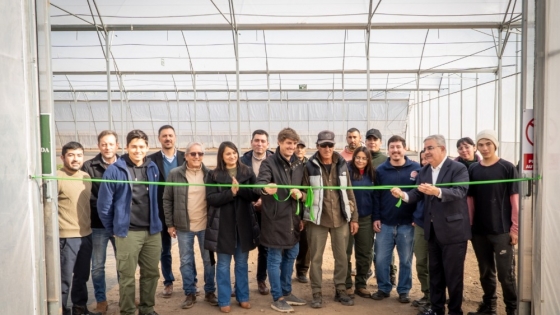 Catamarca fortalece su liderazgo olivícola con un nuevo invernadero