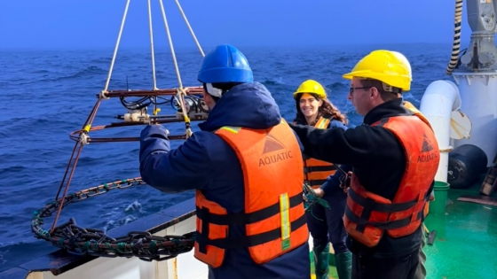 El INIDEP completó una campaña clave para mejorar el monitoreo de los recursos pesqueros en el Mar Argentino