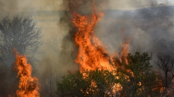 Los incendios forestales en Córdoba continúan: cuatro focos activos y cientos de evacuados