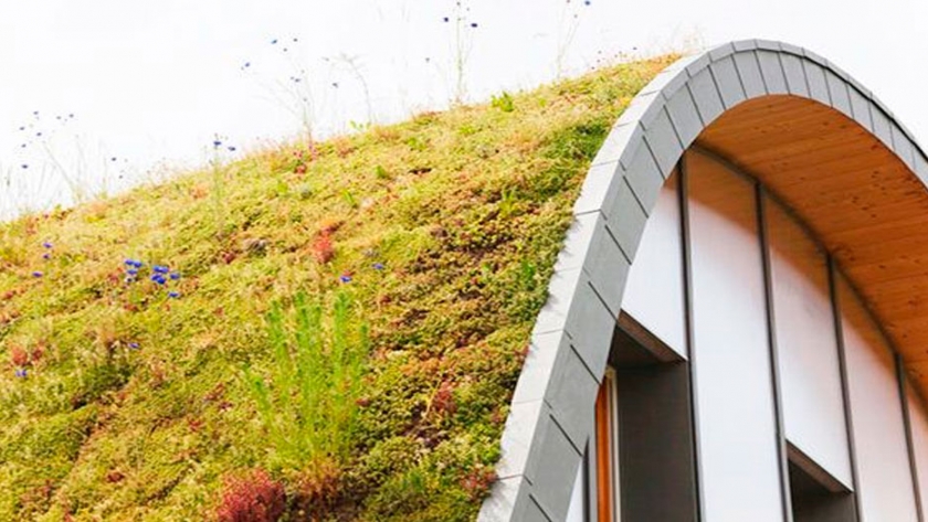 Casa con techo verde en forma de ola, cambia de apariencia con las estaciones