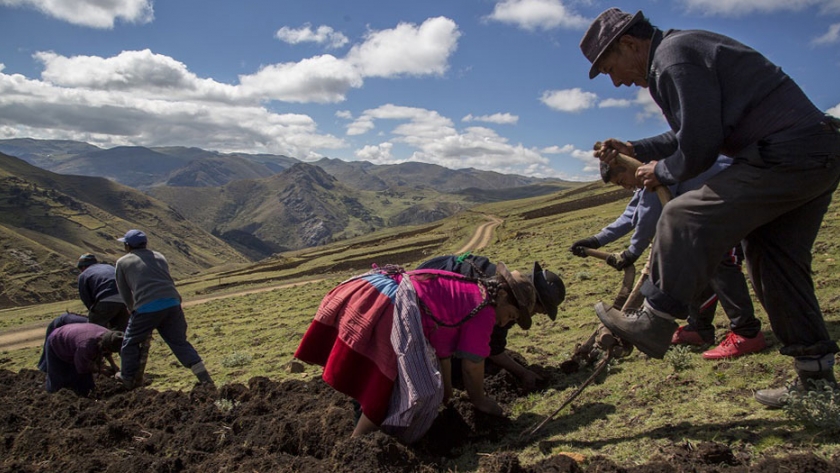 Perú tiene una superficie agrícola de 11.6 millones de hectáreas