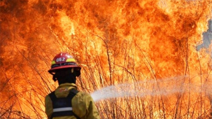 Corrientes: las pérdidas de las producciones Subieron a $82.159 millones debido a los incendios