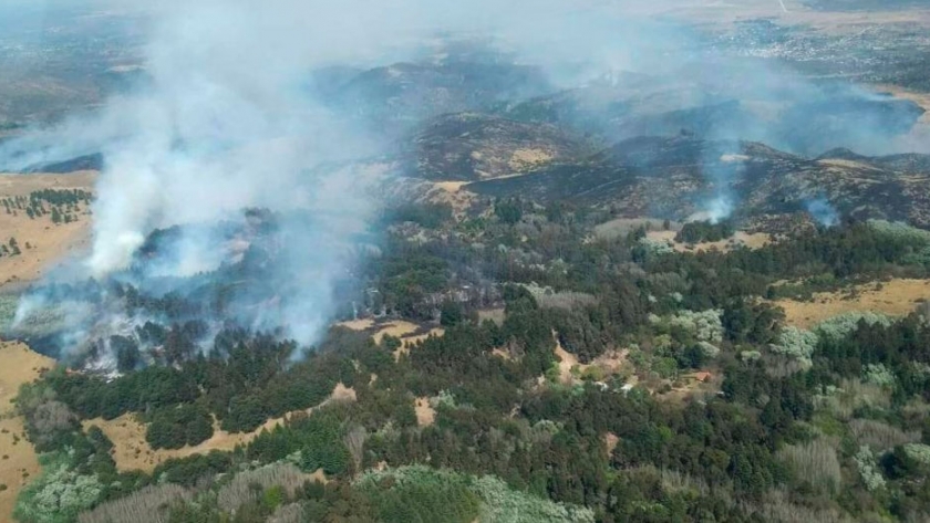 Córdoba: incendio forestal en La Cumbre