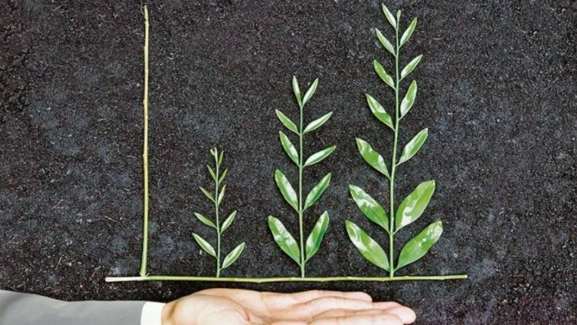 Transformación verde: ¿cuál es el reto al que se enfrentan las empresas en esta era?