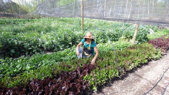Tunuyán potencia la producción hortícola familiar con entrega de insumos