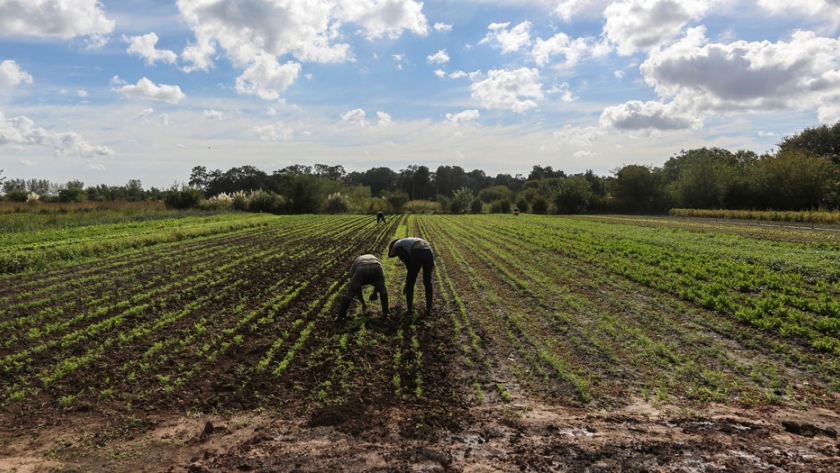 Proyecto de Ley sobre agricultura familiar y diversidad productiva