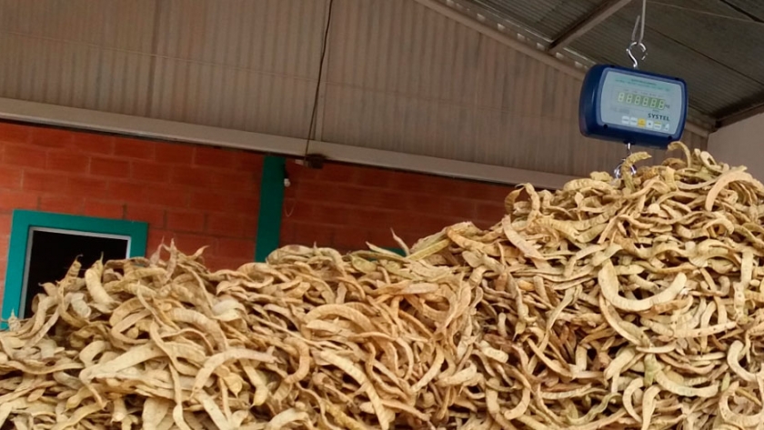 Ya están para certificación de Bromatología tres productos a base de harina de algarroba