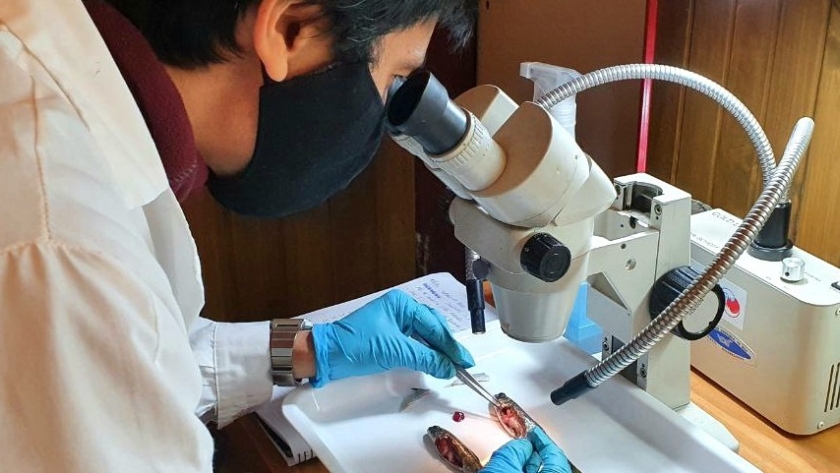 La ciencia al servicio del desarrollo de la Acuicultura en el país
