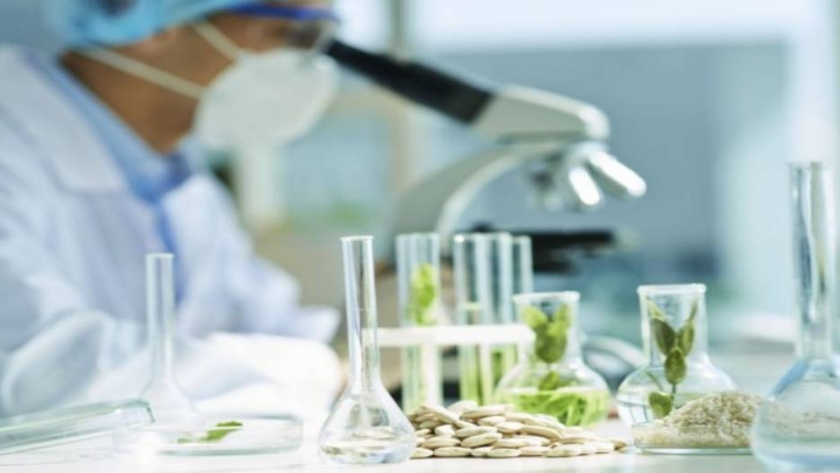 Se cumplen 25 años de la introducción de la biotecnología en la Argentina 