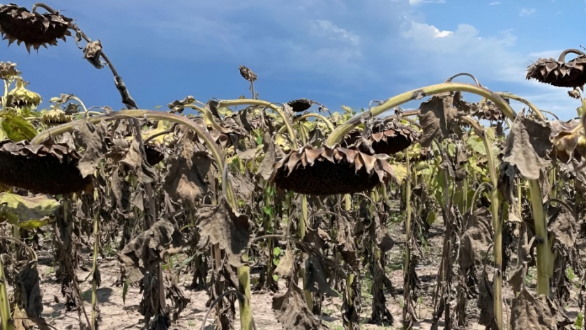 América Latina podría perder 12,5% de su PIB para 2050 debido al cambio climático, advierte la CEPAL