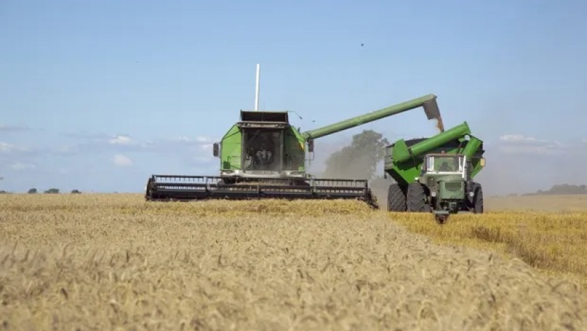 Rusia provee trigo a Brasil a menor precio y Argentina cede en la participación del mercado