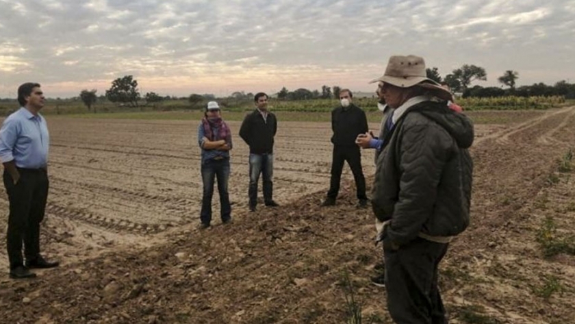 Soberanía alimentaria: el gobierno provincial incentivará la producción agropecuaria para garantizar el autoabastecimiento