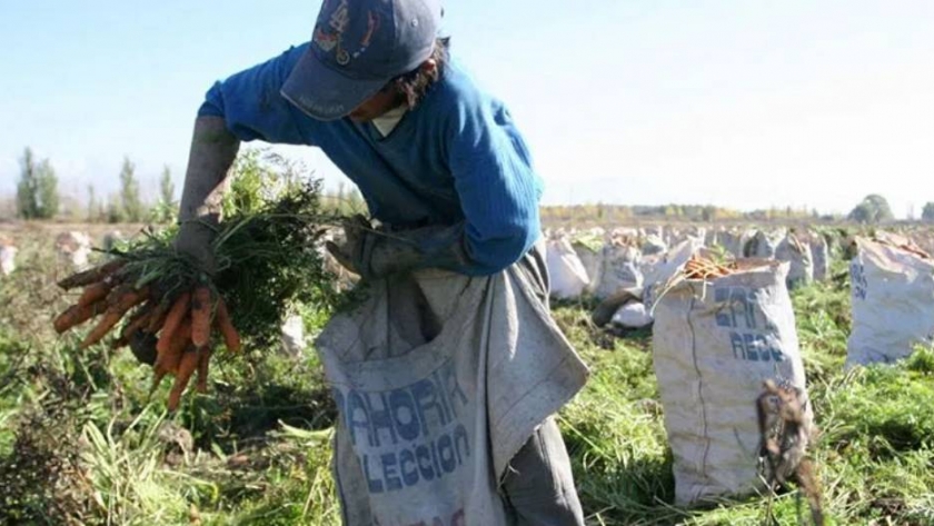 Aumento salarial para los trabajadores rurales