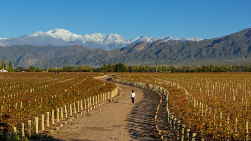 Mendoza se lució como destino enoturístico