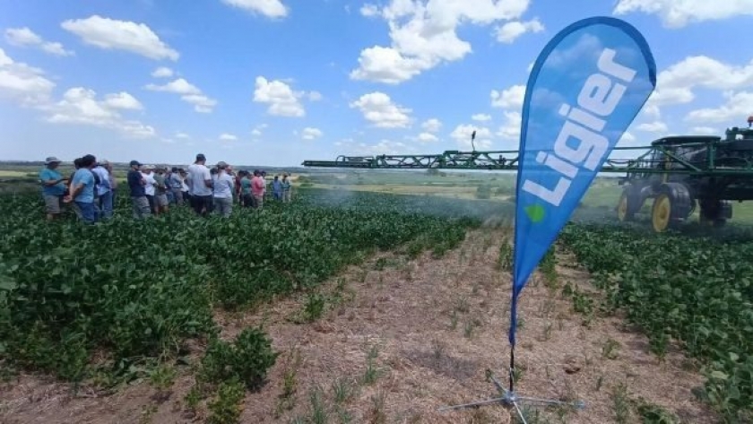 Uruguay como eje del plan de expansión de Ligier