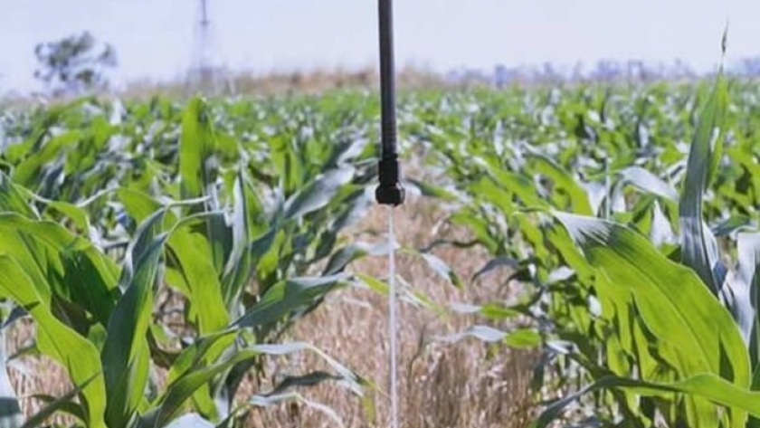 Fertilizantes minerales de eficiencia mejorada es la otra apuesta de Fertilizar 2023
