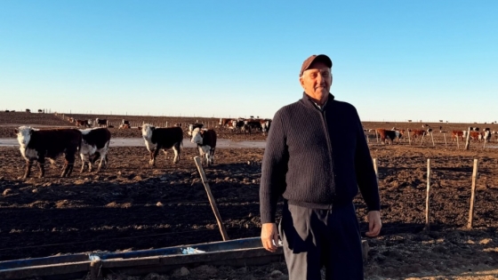 De una carnicería a dos feedlots: el negocio que creció en el sur