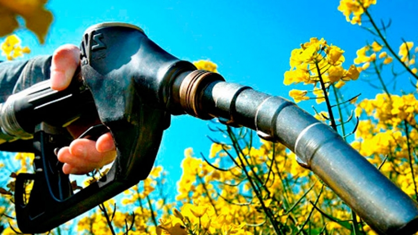 EEUU anuncia objetivo de uso de un 30% de biocombustibles en transporte para el 2050
