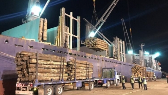Entre Ríos | Nuevo embarque de rollizos de madera de pino con destino la India zarpó con 55.600 toneladas