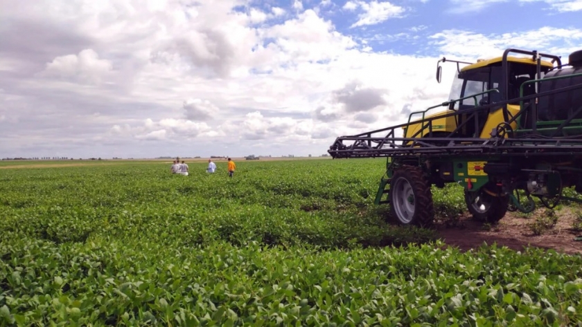 El agro argentino, clave para el desarrollo nacional