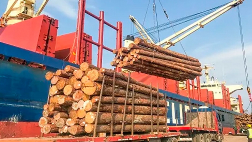 Por primera vez, Argentina exportará madera al mercado indio