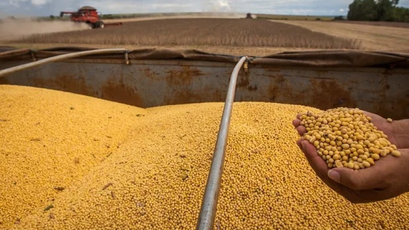 Sorprenden los rendimientos de la soja y se esperan 50 millones de toneladas