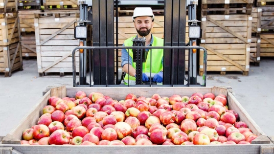 El Gobierno impulsa la exportación de frutas con desregulaciones y busca sumar US$2000 millones