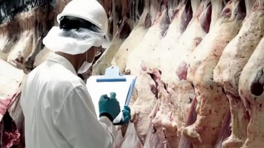 Las exportaciones de carne crecieron más del 20% en lo que va del año
