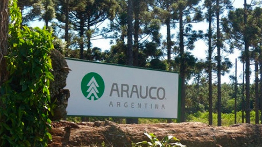 Pablo Ruival dirige Arauco, la mayor empresa forestal del país: Afirma que con retenciones y límites a la compra de tierras es difícil atraer capitales extranjeros hacia el sector