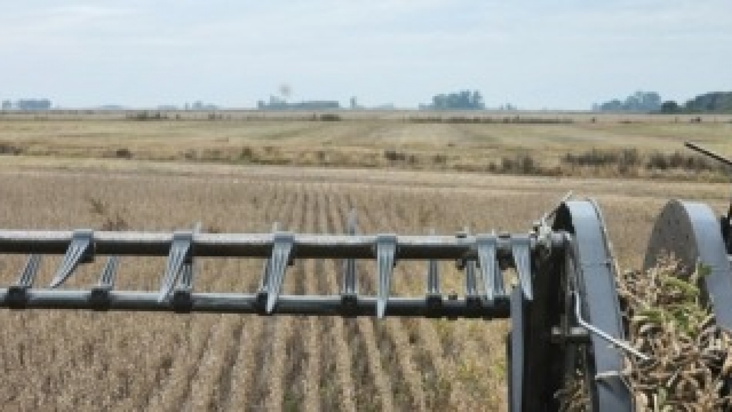 Costos de producción agrícola: gasoil y fletes presionan