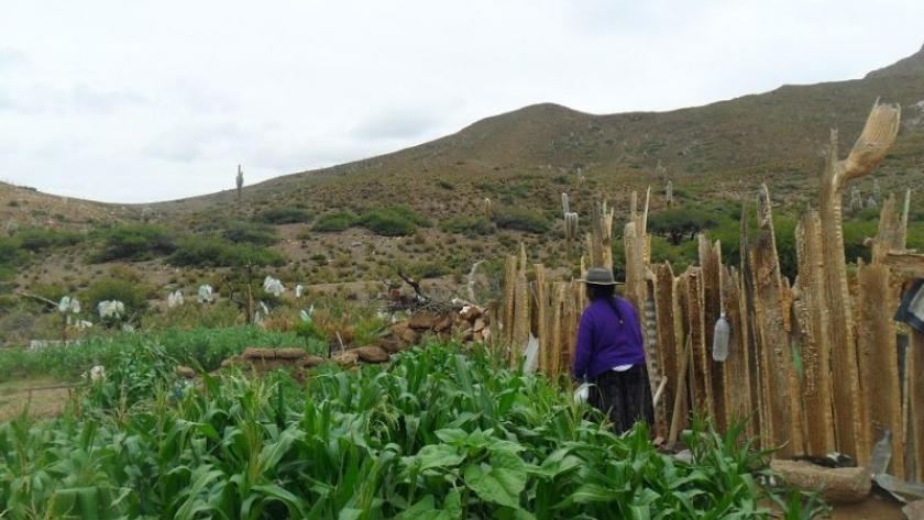 Comunidades de la Puna finalizaron proyectos productivos y mejoraron su calidad de vida