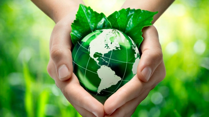 Bioferia: hacia una sociedad más responsable