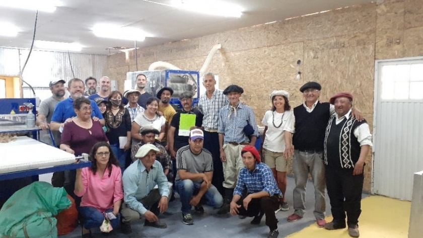 Proyecto Minimills: una apuesta de la Cooperativa Peñi Mapuche para mejorar la producción lanera