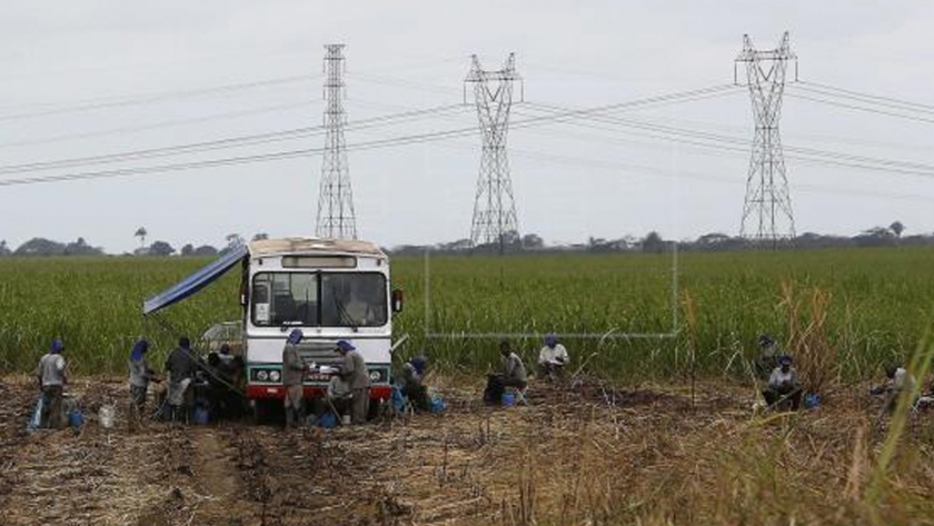 Brasil liderará a medio plazo la producción agrícola mundial, dice exministro