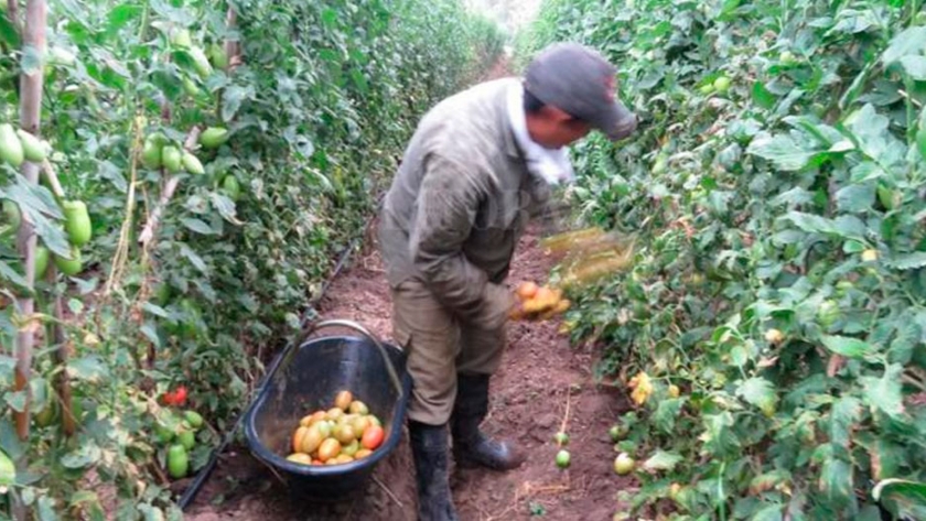 Los trabajadores rurales cobrarán un bono de fin de año