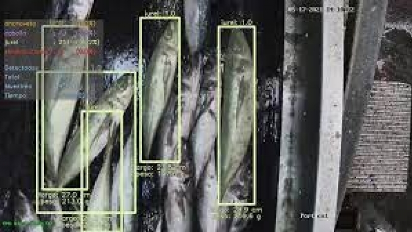 Prueba piloto en Chile para fiscalizar la pesca con Inteligencia Artificial