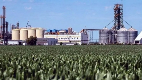 Amplio respaldo al proyecto de biocombustibles del Gobierno: la cadena del bioetanol pide avanzar con la nueva ley