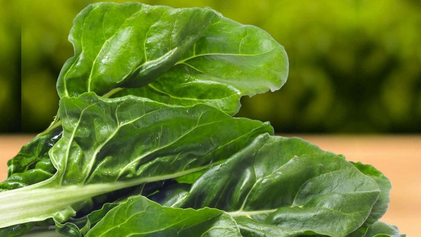 El programa Invernaderos avanza con nuevas capacitaciones y cosecha de alimentos frescos