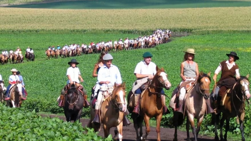 Embajador oficial: el caballo Criollo será Marca País ante el mundo y estas son las razones