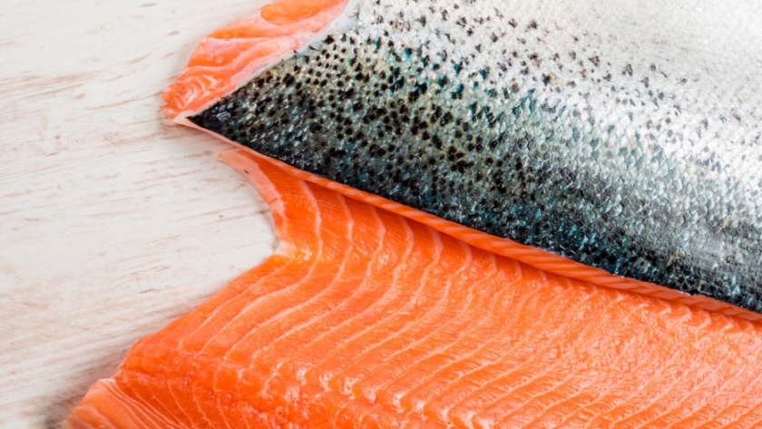 Sernapesca logra transporte de salmones por Argentina