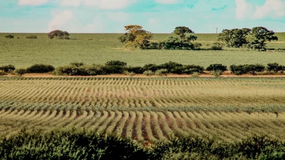 Urdinarrain: el pueblo del litoral ideal para descubrir la Argentina profunda