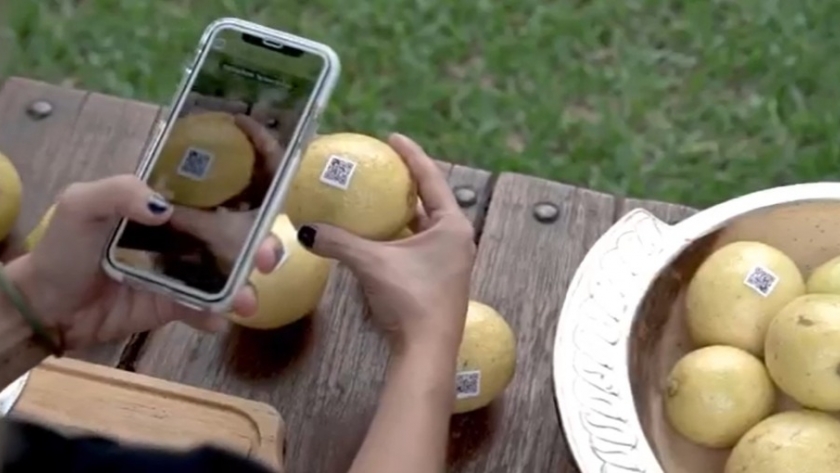 Tecnología para el limón: Unos tucumanos crearon un sistema para la gestión y trazabilidad de la fruta fresca