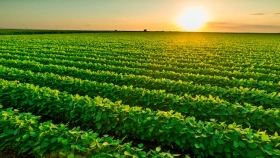 Rotación de cultivos sustentable y rentable